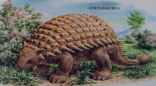 ankylosaurus