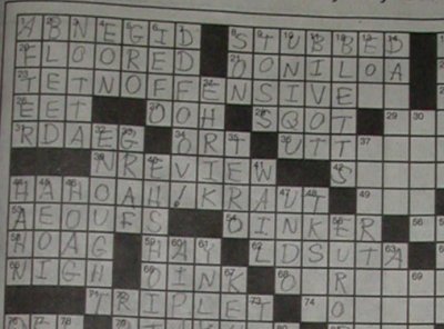 crossword puzzle